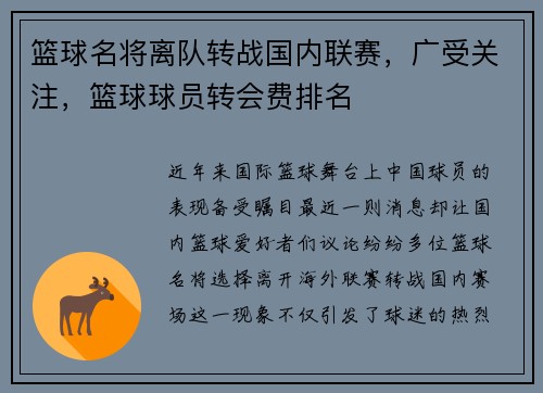 篮球名将离队转战国内联赛，广受关注，篮球球员转会费排名