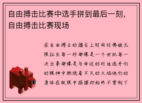 自由搏击比赛中选手拼到最后一刻，自由搏击比赛现场