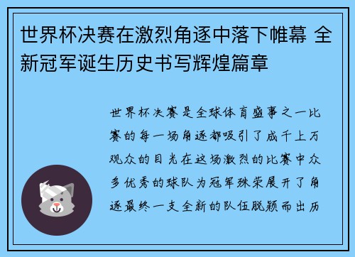 世界杯决赛在激烈角逐中落下帷幕 全新冠军诞生历史书写辉煌篇章